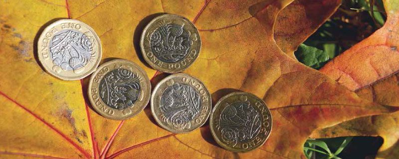coins on a leaf