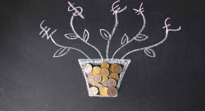 money growth in a plant pot
